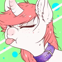 Size: 500x500 | Tagged: safe, artist:funnymouth, derpibooru import, oc, unofficial characters only, pony, unicorn, collar, ear fluff, silly, silly pony, tongue out