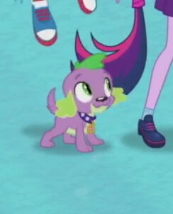 Size: 244x302 | Tagged: safe, derpibooru import, screencap, rainbow dash, sci-twi, spike, spike the regular dog, twilight sparkle, dog, equestria girls, equestria girls series, converse, cropped, male, offscreen character, paws, puppy, shoes, sneakers