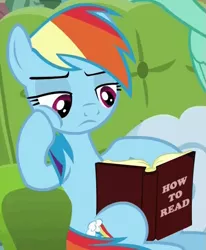 Size: 469x570 | Tagged: safe, derpibooru import, edit, edited screencap, screencap, lightning dust, rainbow dash, pegasus, pony, book, bored, cheek squish, couch, female, frown, how to read, illiterate, image macro, leaning, lidded eyes, mare, meme, paradox, reading, solo focus, squishy cheeks, wat