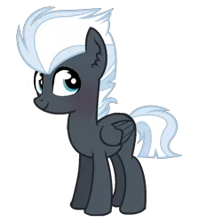 Size: 855x953 | Tagged: safe, artist:theapplebeauty, derpibooru import, oc, unofficial characters only, pegasus, pony, female, mare, offspring, parent:night glider, parent:thunderlane, parents:thunderglider, simple background, solo, transparent background
