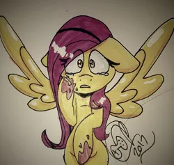 Size: 1681x1596 | Tagged: semi-grimdark, artist:yoshiyoshi700, derpibooru import, fluttershy, pegasus, pony, blood, blood stains, eye clipping through hair, floppy ears, inktober, inktober 2017, looking at you, shocked, signature, solo, spread wings, teary eyes, traditional art, wide eyes, wings