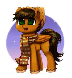 Size: 931x1000 | Tagged: safe, artist:confetticakez, derpibooru import, oc, oc:thunder chaser, unofficial characters only, pegasus, pony, beanie, clothes, happy, hat, male, scarf, simple background, smiling, solo, stallion, unshorn fetlocks, ych result