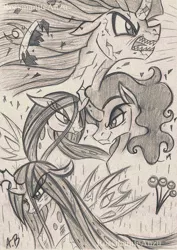 Size: 1617x2290 | Tagged: safe, artist:rossmaniteanzu, derpibooru import, king sombra, queen chrysalis, changeling, changeling queen, pony, unicorn, antagonist, crown, duo, female, gray background, grayscale, jewelry, male, monochrome, open mouth, pencil drawing, rain, regalia, screaming, sharp teeth, simple background, stallion, teeth, traditional art