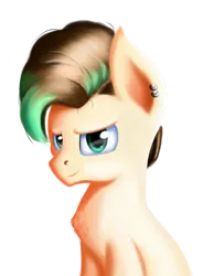 Size: 1303x1684 | Tagged: safe, artist:qbellas, derpibooru import, pony, bust, chest fluff, male, simple background, solo, transparent background