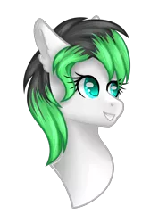 Size: 2500x3335 | Tagged: safe, artist:blocksy-art, derpibooru import, oc, oc:emerald, unofficial characters only, earth pony, pony, bust, female, high res, mare, portrait, simple background, solo, transparent background