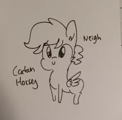 Size: 1084x1065 | Tagged: safe, artist:tjpones, derpibooru import, oc, unofficial characters only, pegasus, pony, black and white, ear fluff, grayscale, inktober, lineart, monochrome, neigh, solo, traditional art