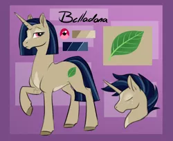 Size: 728x597 | Tagged: safe, artist:mythpony, derpibooru import, oc, oc:belladona, unofficial characters only, pony, unicorn, female, mare, raised hoof, reference sheet, solo