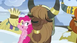 Size: 1280x720 | Tagged: safe, derpibooru import, screencap, pinkie pie, prince rutherford, earth pony, pony, yak, not asking for trouble, ear piercing, earring, female, horn ring, jewelry, mare, piercing, snow