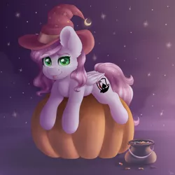 Size: 2000x2000 | Tagged: safe, artist:spirit-dude, derpibooru import, oc, unofficial characters only, pegasus, pony, commission, cute, female, halloween, hat, holiday, looking at you, mare, ocbetes, pumpkin, smiling, witch hat, ych result