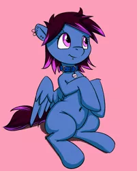 Size: 1280x1592 | Tagged: safe, artist:replacer808, derpibooru import, oc, oc:cool breeze, unofficial characters only, pegasus, pony, chubby, collar, female, mare, name tag, pet, piercing, simple background, sitting, solo