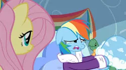 Size: 300x168 | Tagged: safe, derpibooru import, screencap, fluttershy, rainbow dash, tank, pegasus, pony, tortoise, turtle, tanks for the memories, bathrobe, clothes, crying, cute, dashabetes, dashie slippers, female, mare, picture for breezies, robe, sadorable, slippers