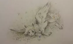 Size: 1000x599 | Tagged: safe, artist:exclusionzone, derpibooru import, derpy hooves, pegasus, pony, colored pencil drawing, looking up, lying down, side, solo, spread wings, traditional art, wings