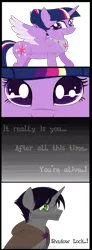 Size: 944x2556 | Tagged: safe, artist:ipandacakes, derpibooru import, shadow lock, twilight sparkle, twilight sparkle (alicorn), alicorn, pony, alternate hairstyle, cloak, clothes, comic, female, male, older, scar, shipping, story in the source, straight, twilock