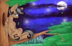 Size: 1561x1000 | Tagged: safe, artist:twinkepaint, derpibooru import, oc, oc:artsong, unofficial characters only, pegasus, pony, chest fluff, female, mare, moon, night, sitting, sitting in a tree, solo, tree, tree branch