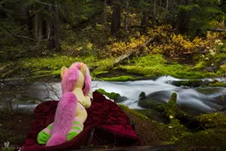 Size: 2500x1667 | Tagged: artist:natureshy, artist:qtpony, autumn, blanket, clothes, creek, derpibooru import, equestria: into the wild, fluttershy, forest, irl, life size, lying down, nature, outdoors, photo, plushie, ponies in real life, rainforest, safe, socks, striped socks, washington, water