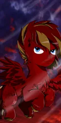 Size: 2000x4000 | Tagged: safe, artist:helgabuttercup, derpibooru import, oc, unofficial characters only, pegasus, pony, chest fluff, hooves, male, solo, stallion