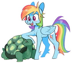 Size: 820x716 | Tagged: safe, artist:xenon, derpibooru import, rainbow dash, tank, pegasus, pony, cute, dashabetes, duo, female, folded wings, looking at each other, mare, simple background, smiling, transparent background, unshorn fetlocks