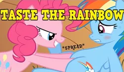 Size: 477x277 | Tagged: suggestive, artist:thexxxx, derpibooru import, pinkie pie, rainbow dash, pegasus, pony, blushing, female, imminent cunnilingus, imminent sex, lesbian, mare, nervous, on back, pinkiedash, shipping, show accurate, spreading, sweat, taste the rainbow