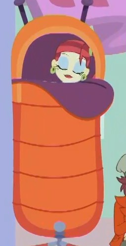 Size: 255x498 | Tagged: safe, derpibooru import, screencap, rose heart, a fine line, equestria girls, equestria girls series, cropped, sleeping bag