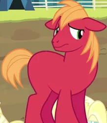 Size: 428x490 | Tagged: big macintosh, brotherhooves social, cropped, derpibooru import, edit, edited screencap, floppy ears, macabetes, missing accessory, missing cutie mark, nervous, nude edit, nudity, safe, screencap