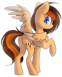 Size: 1632x2017 | Tagged: safe, artist:starlyflygallery, derpibooru import, oc, oc:aerion featherquill, unofficial characters only, pegasus, pony, chest fluff, cutie mark, female, flank, looking back, mare, one wing out, raised hoof, raised leg, rear view, simple background, solo, transparent background, underhoof