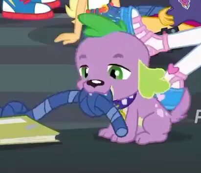 Size: 411x355 | Tagged: safe, derpibooru import, screencap, spike, spike the regular dog, dog, equestria girls, equestria girls series, the finals countdown, converse, cropped, cute, male, paws, puppy, shoes, toy