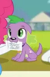 Size: 163x250 | Tagged: safe, derpibooru import, screencap, spike, spike the regular dog, dog, equestria girls, equestria girls series, the finals countdown, card, cropped, male, paws, puppy