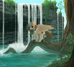 Size: 1999x1795 | Tagged: safe, artist:graypillow, derpibooru import, oc, unofficial characters only, pegasus, pony, collar, female, forest, heterochromia, image, looking at you, mare, png, scenery, solo, spread wings, tree, tree roots, waterfall, wings