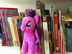 Size: 3128x2346 | Tagged: alicorn, artist:dmcordell, book, crossover, derpibooru import, irl, photo, plushie, safe, solo, that pony sure does love books, the neverending story, twilight sparkle, twilight sparkle (alicorn), ty