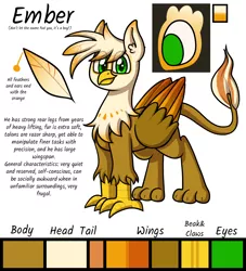 Size: 1280x1408 | Tagged: safe, artist:alittleofsomething, derpibooru import, oc, oc:ember burd, unofficial characters only, gryphon, commission, eared griffon, griffon oc, male, reference sheet, solo, standing