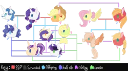 Size: 1023x563 | Tagged: safe, artist:aquadove, derpibooru import, applejack, big macintosh, fancypants, fluttershy, rarity, oc, pony, family tree, female, fluttermac, lesbian, magical lesbian spawn, male, offspring, parent:applejack, parent:big macintosh, parent:fancypants, parent:fluttershy, parent:rarity, parents:fluttermac, parents:rarijack, parents:raripants, rarijack, raripants, shipping, straight