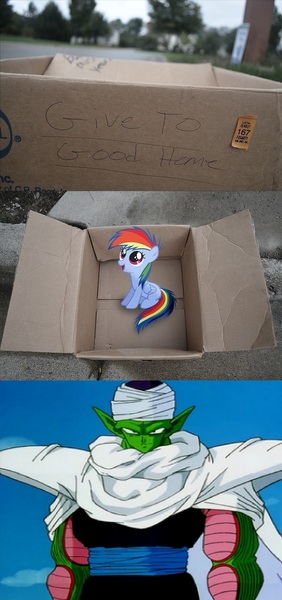 Size: 1316x2796 | Tagged: dashie meme, derpibooru import, dragon ball z, exploitable meme, fanfic:my little dashie, good people finding dash meme, meme, obligatory pony, piccolo (dbz), rainbow dash, safe, this will end in training