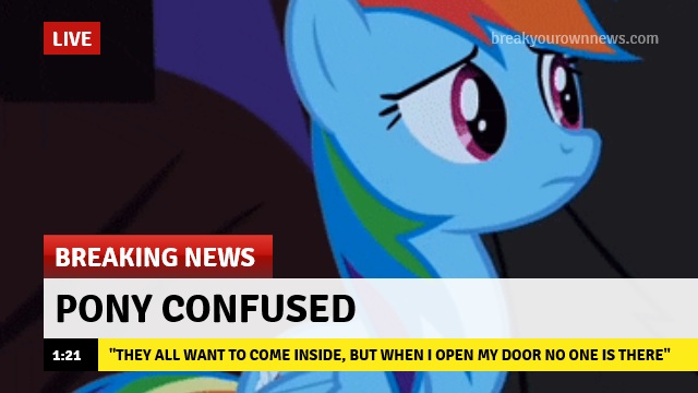 Size: 640x360 | Tagged: safe, derpibooru import, edit, edited screencap, screencap, rainbow dash, pegasus, pony, break your own news, breaking news, confused, cute, dashabetes, female, frown, innocent, iwtcird, live, mare, meme, quote, solo