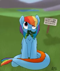 Size: 2190x2584 | Tagged: artist:the-furry-railfan, cute, derpibooru import, grass field, lake, looking at you, looking up, monster pony, mountain, mountain range, original species, rainbow dash, safe, sign, sitting, tatzldash, tatzlpony, tentacles, this will end in hugs, valley