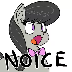Size: 500x500 | Tagged: dead source, safe, artist:reiduran, derpibooru import, octavia melody, earth pony, pony, bowtie, cockney, cute, ear fluff, female, image macro, mare, meme, nice, noice, octchavia, open mouth, reaction image, simple background, solo, tavibetes, white background
