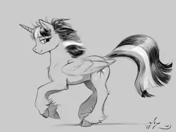 Size: 1200x900 | Tagged: safe, artist:amarynceus, deleted from derpibooru, derpibooru import, twilight sparkle, twilight sparkle (alicorn), alicorn, pony, cheek fluff, chest fluff, cloven hooves, female, gray background, grayscale, leg fluff, lidded eyes, mare, monochrome, profile, raised tail, running, simple background, sketch, smiling, solo, tail, unshorn fetlocks, windswept mane