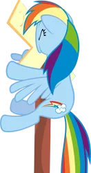 Size: 3000x5680 | Tagged: safe, artist:timeimpact, derpibooru import, rainbow dash, pony, over a barrel, .psd available, high res, rainbow crash, sign, simple background, solo, transparent background, vector