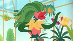 Size: 1280x720 | Tagged: safe, derpibooru import, screencap, equestria girls, equestria girls series, my little shop of horrors, flower, greenhouse, plant, potted plant, room to grow, watering can