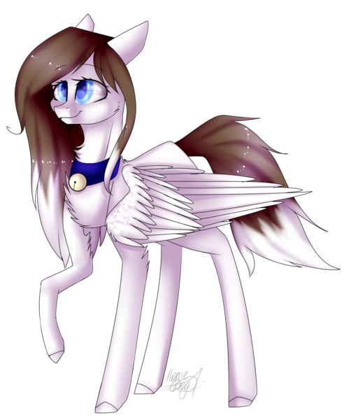 Size: 3442x4112 | Tagged: safe, artist:midnightdream123, derpibooru import, oc, unofficial characters only, pegasus, pony, bell, bell collar, collar, female, high res, mare, raised hoof, simple background, solo, transparent background