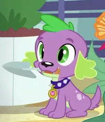 Size: 570x661 | Tagged: safe, derpibooru import, screencap, spike, spike the regular dog, dog, equestria girls, equestria girls series, my little shop of horrors, cropped, male, mouth hold, paws, puppy, smiling, solo, trowel