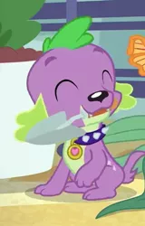 Size: 461x720 | Tagged: safe, derpibooru import, screencap, spike, spike the regular dog, dog, equestria girls, equestria girls series, my little shop of horrors, cropped, cute, eyes closed, male, mouth hold, paws, smiling, solo, trowel