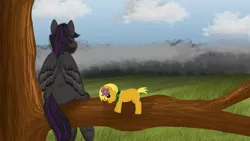 Size: 2560x1440 | Tagged: safe, artist:rainb0wdashie, derpibooru import, oc, oc:arcshine, unofficial characters only, pony, commission, plushie, sitting, sitting in a tree, solo, tree, tree branch