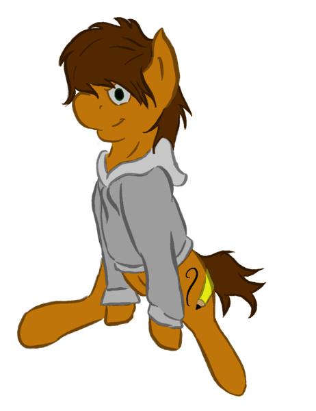 Size: 1172x1523 | Tagged: safe, artist:speedpaintthegod, derpibooru import, oc, oc:neat sketch scribble, unofficial characters only, earth pony, pony, 2018 community collab, derpibooru community collaboration, clothes, cutie mark, hoodie, simple background, solo, transparent background