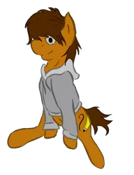 Size: 1172x1523 | Tagged: safe, artist:speedpaintthegod, derpibooru import, oc, oc:neat sketch scribble, unofficial characters only, earth pony, pony, 2018 community collab, derpibooru community collaboration, clothes, cutie mark, hoodie, simple background, solo, transparent background