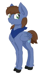 Size: 2312x3913 | Tagged: safe, artist:paskanaakka, derpibooru import, oc, oc:pat thundersnow, unofficial characters only, pegasus, pony, 2018 community collab, derpibooru community collaboration, chest fluff, ear fluff, neckerchief, simple background, smiling, solo, transparent background, unshorn fetlocks