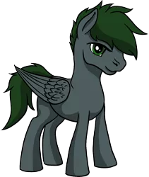 Size: 974x1153 | Tagged: safe, artist:xormak, derpibooru import, oc, oc:xormak, unofficial characters only, pegasus, pony, 2018 community collab, derpibooru community collaboration, simple background, solo, transparent background