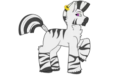 Size: 4320x2590 | Tagged: artist:moonrunes, derpibooru import, ear piercing, earring, jewelry, male, oc, oc:silah, one hoof raised, piercing, raised hoof, safe, simple background, stripes, tail wrap, transparent background, unofficial characters only, unshorn fetlocks, zebra, zebra oc