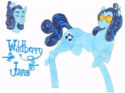 Size: 795x595 | Tagged: safe, artist:frozensoulpony, derpibooru import, oc, oc:wildberry jams, unofficial characters only, earth pony, pony, male, offspring, parent:party favor, parent:pinkie pie, parents:partypie, solo, stallion, sunglasses, traditional art