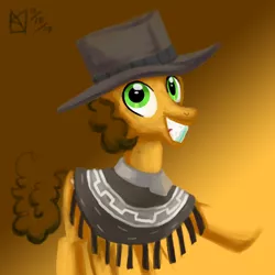 Size: 1500x1500 | Tagged: safe, artist:kelseyleah, derpibooru import, cheese sandwich, pony, clothes, hat, poncho, solo, the pony with no name