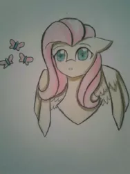 Size: 1200x1600 | Tagged: safe, artist:ponime11, derpibooru import, fluttershy, pony, bust, portrait, solo, traditional art